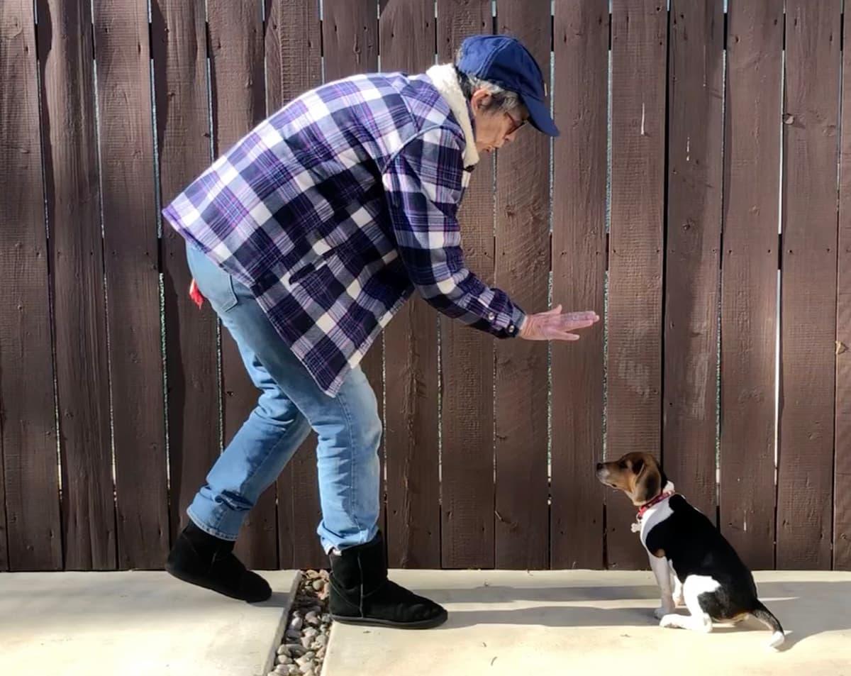 Highland Park Pet Hospital - Behavior Management Salt Lake City, UT