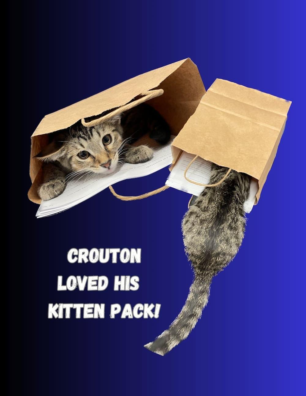 Highland Park Pet Hospital