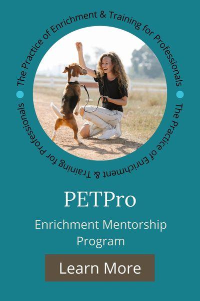 Pet Harmony Animal Behavior and Training photo 4