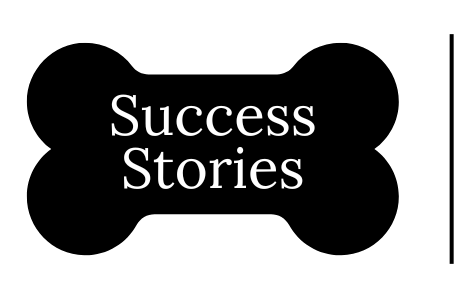 Pet Harmony Animal Behavior and Training photo 3