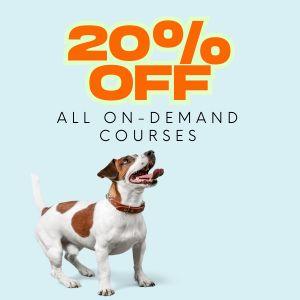 Pet Harmony Animal Behavior and Training photo 5