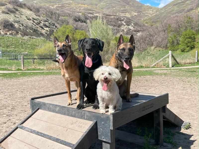 Sit Means Sit Salt Lake City photo 5