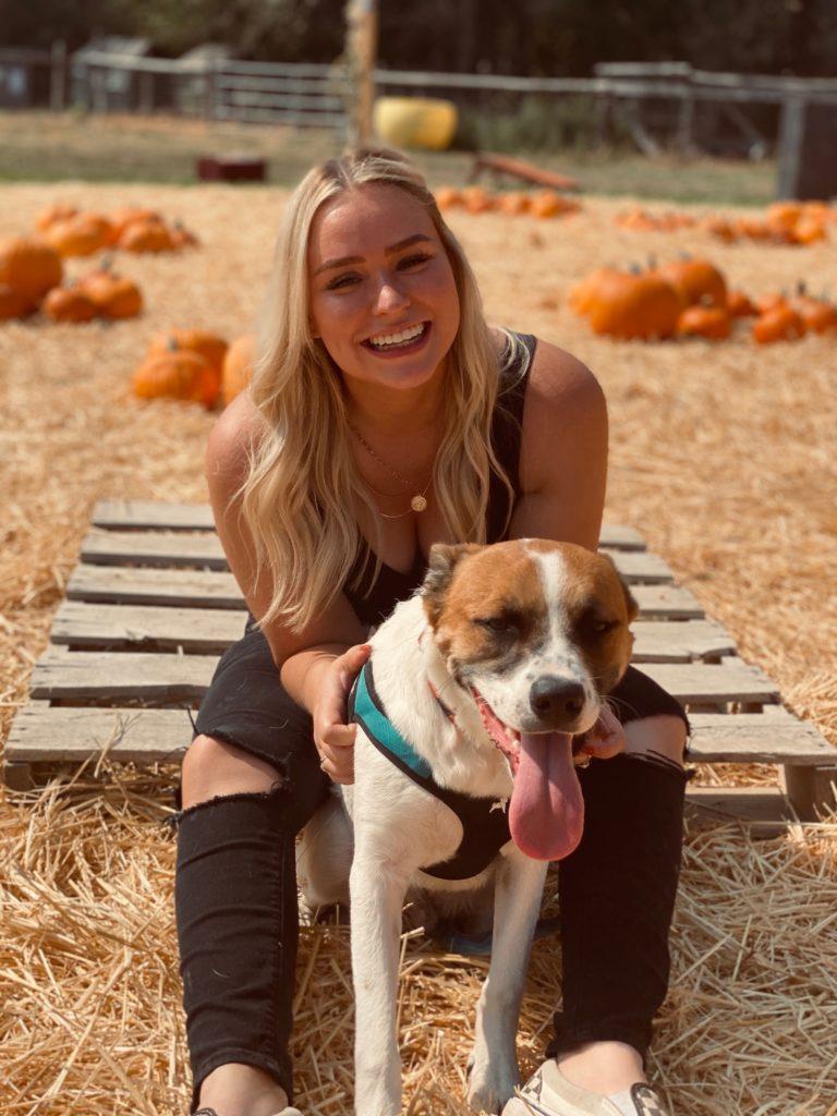 Three Little Pits photo 3