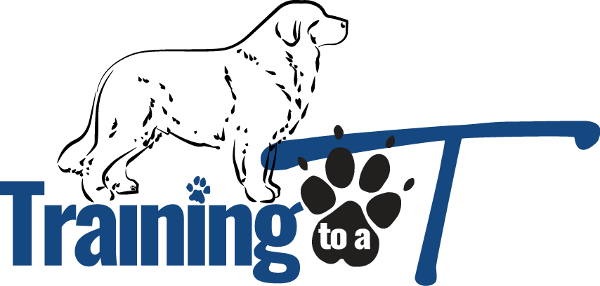 Training to a T, LLC photo 5