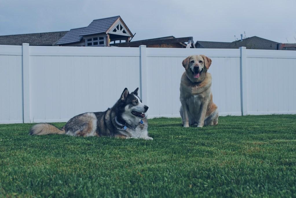 Training to a T, LLC