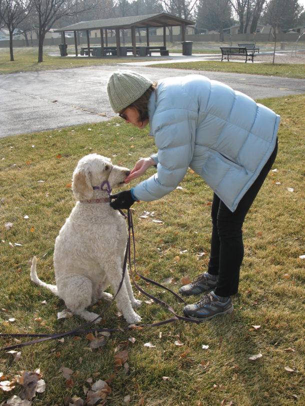 Four Legged Scholars - Group Dog Training Course Salt Lake City Utah