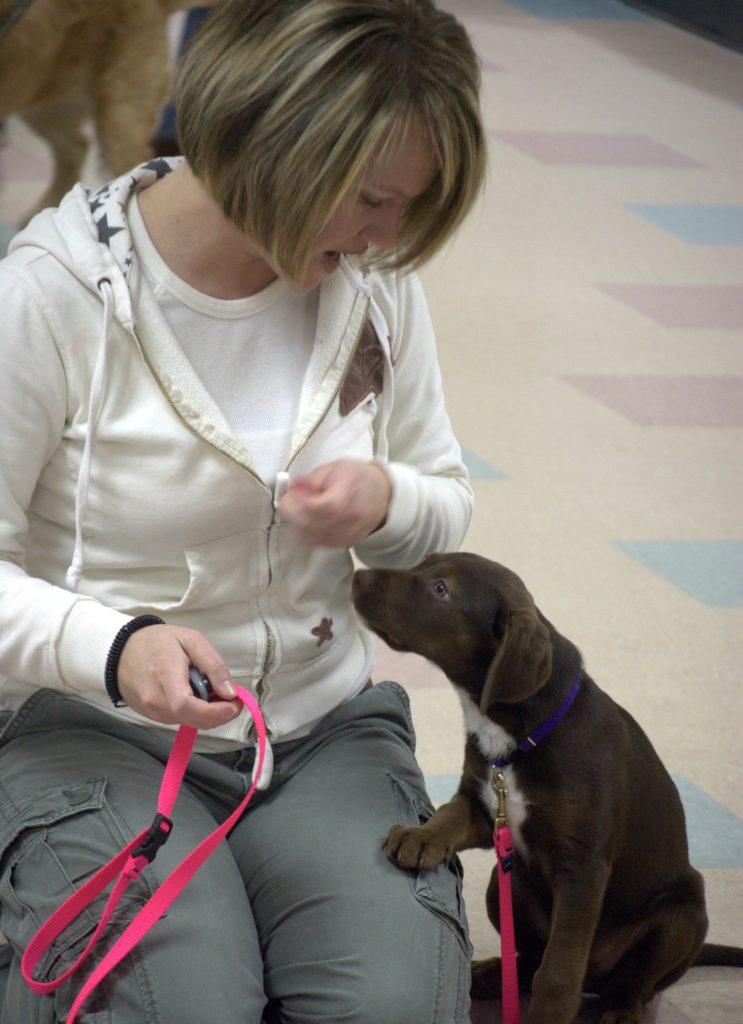 Four Legged Scholars photo 3