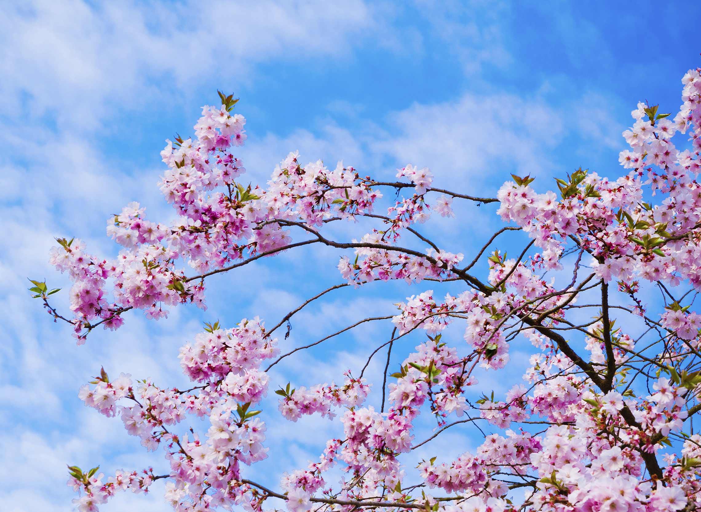 Hunter Animal Hospital photo 3