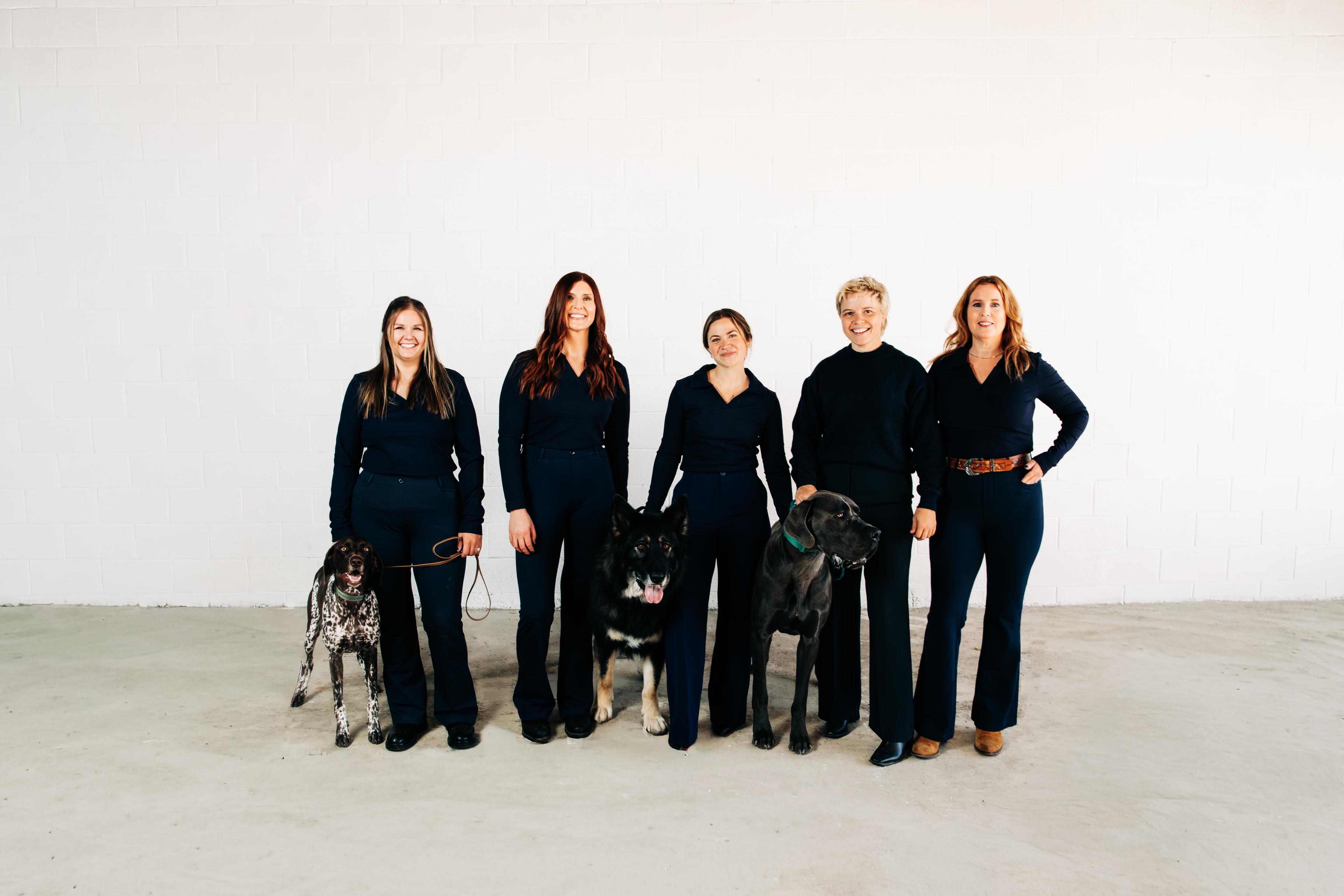 Pooch Wagon Mobile Dog Grooming photo 3