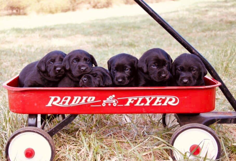 Sit Means Sit Salt Lake City