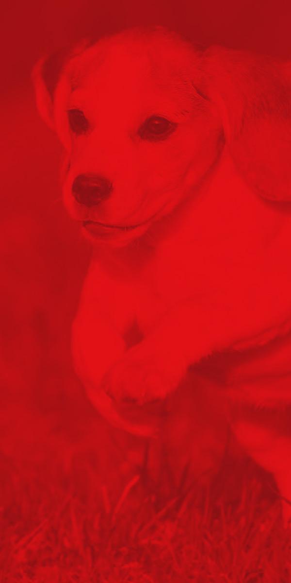 Sit Means Sit Salt Lake City photo 3