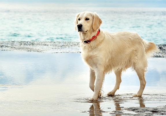 Sit Means Sit Salt Lake City photo 4