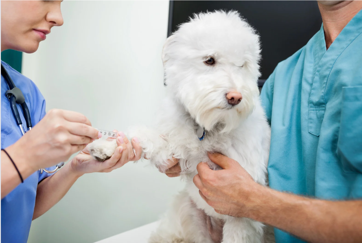 Murray Animal Hospital photo 5