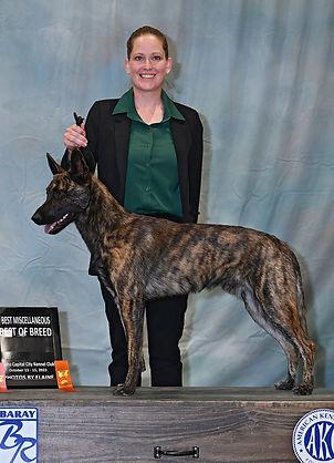 Train My Dog SLC - DSC_1445.jpg